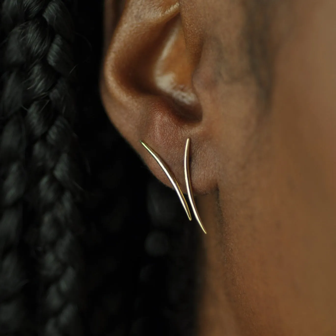 Long Arc Earrings